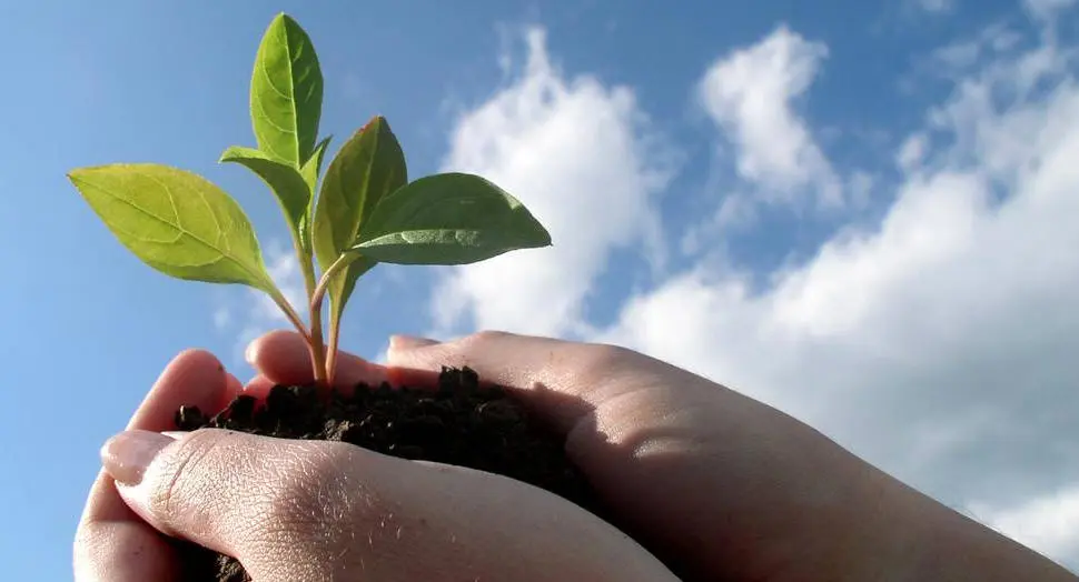  Εναλλακτικά Επενδυτικά Ταμεία: Εργαλείο για την ανάπτυξη