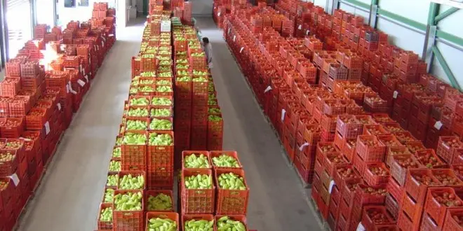 Ζητούν δημοπρατήριο μετά το κλείσιμο της χονδρικής αγοράς Λευκωσίας