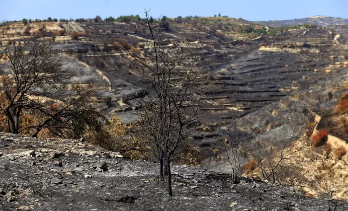 Κουμής: Στόχος η γρήγορη τουριστική ανάκαμψη των πυρόπληκτων κοινοτήτων