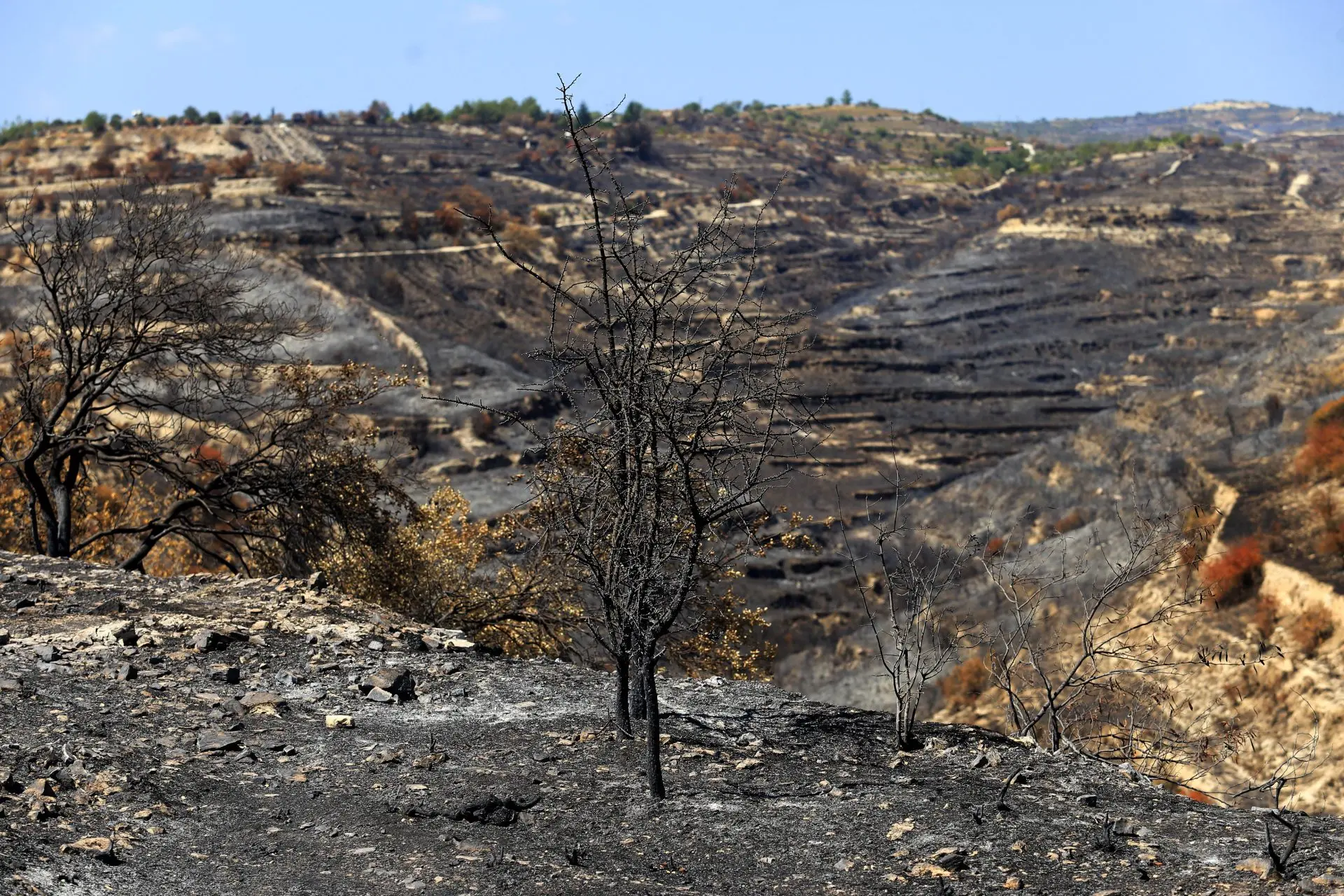 Κουμής: Στόχος η γρήγορη τουριστική ανάκαμψη των πυρόπληκτων κοινοτήτων