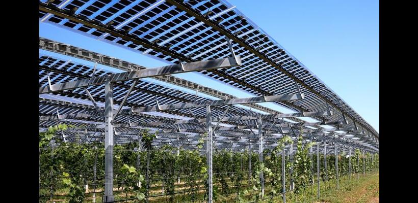 Τα αγροφωτοβολταϊκά ως όπλο στη φαρέτρα για την αγροτική ενέργεια