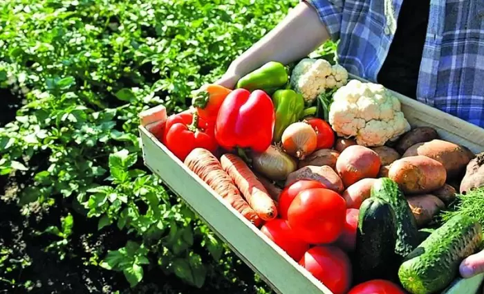 Μείωση 3,4% στις τιμές αγροτικών προϊόντων στην Κύπρο – Άνοδος στην ΕΕ