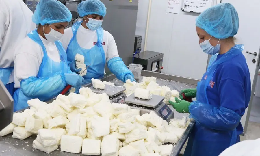 Περίοδο «Χάριτος» 5 χρόνια έλαβε η Κύπρος από Κομισιόν για το χαλλούμι