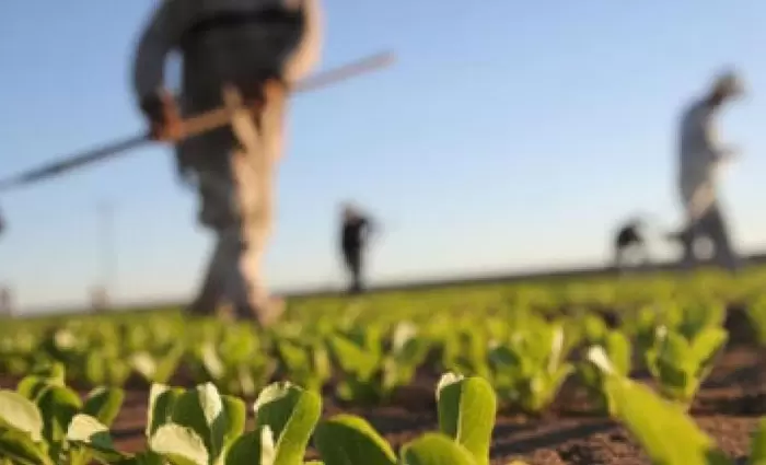 Αντιδρά ο Παναγροτικός στην επιβολή περιβαλλοντικού τέλους