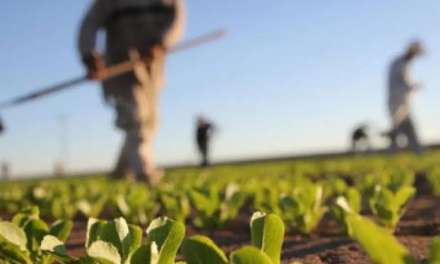 Αντιδρά ο Παναγροτικός στην επιβολή περιβαλλοντικού τέλους