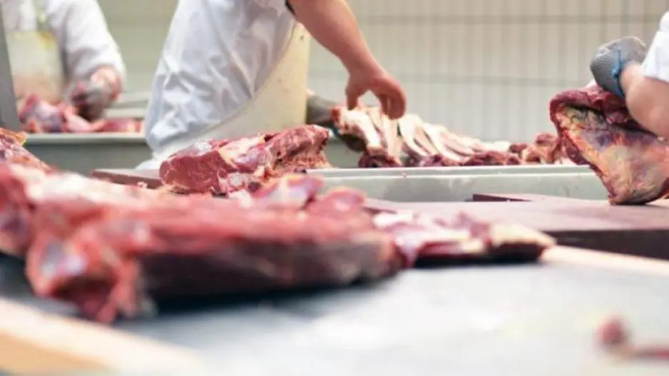 Επιθεωρήσεις σε σφαγεία στο πλαίσιο εκστρατείας για αδήλωτη εργασία