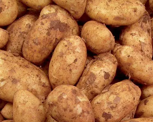 Μεγάλες αυξήσεις σε ζάχαρη και πατάτες τον Νοέμβριο