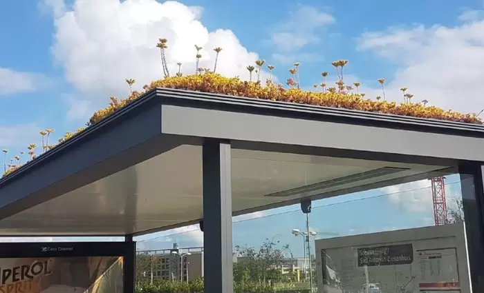 Ολλανδία: Στάσεις λεωφορείων 