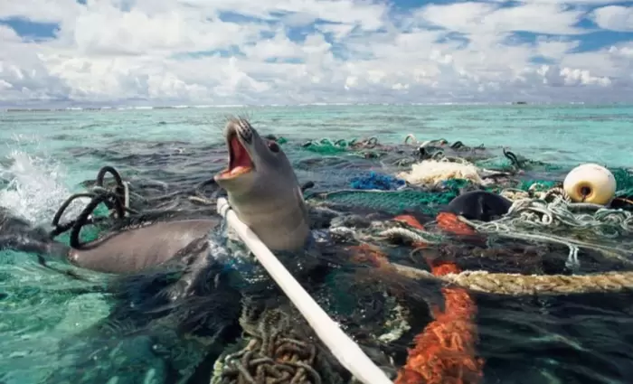 Αφαίρεσαν 40 τόνους πλαστικό από τον ωκεανό