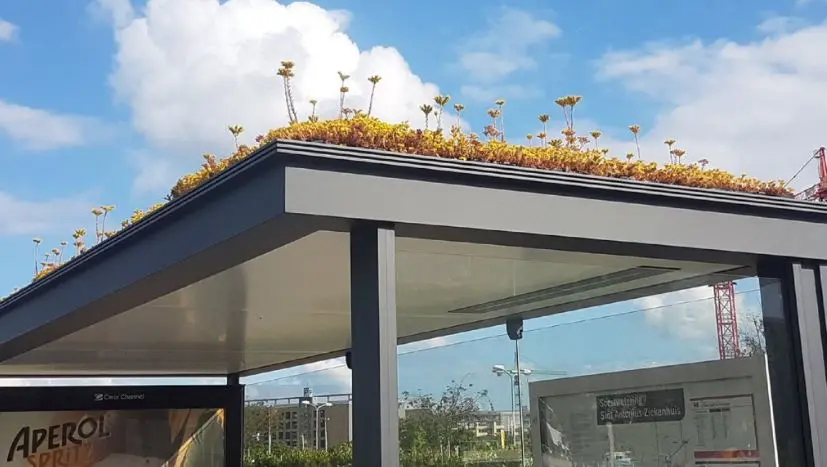 Ολλανδία: Στάσεις λεωφορείων 