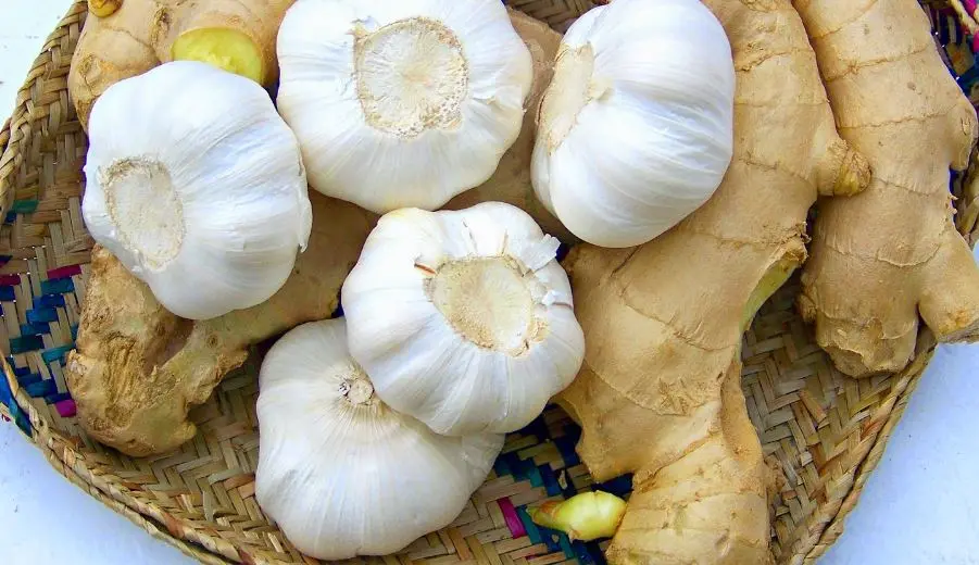 Κίνδυνος εξαφάνισης για σκόρδο και τζίντζερ - Ανεβαίνουν οι τιμές διεθνώς