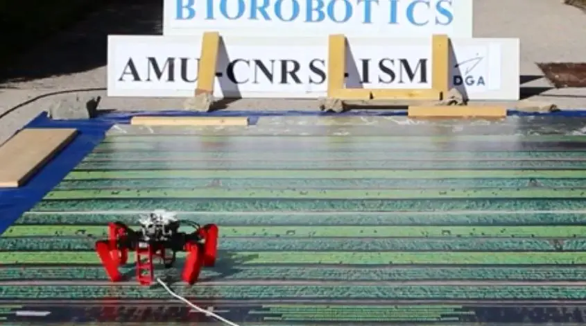 Κατασκεύασαν ρομπότ-αράχνη που δεν χρειάζεται ούτε GPS (vid)