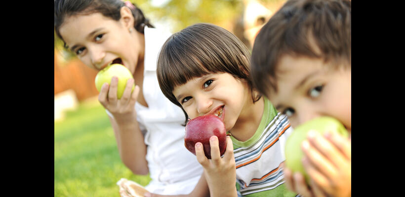 Κονδύλι 250 εκατ. ευρώ για προώθηση κατανάλωσης φρούτων στα σχολεία της ΕΕ