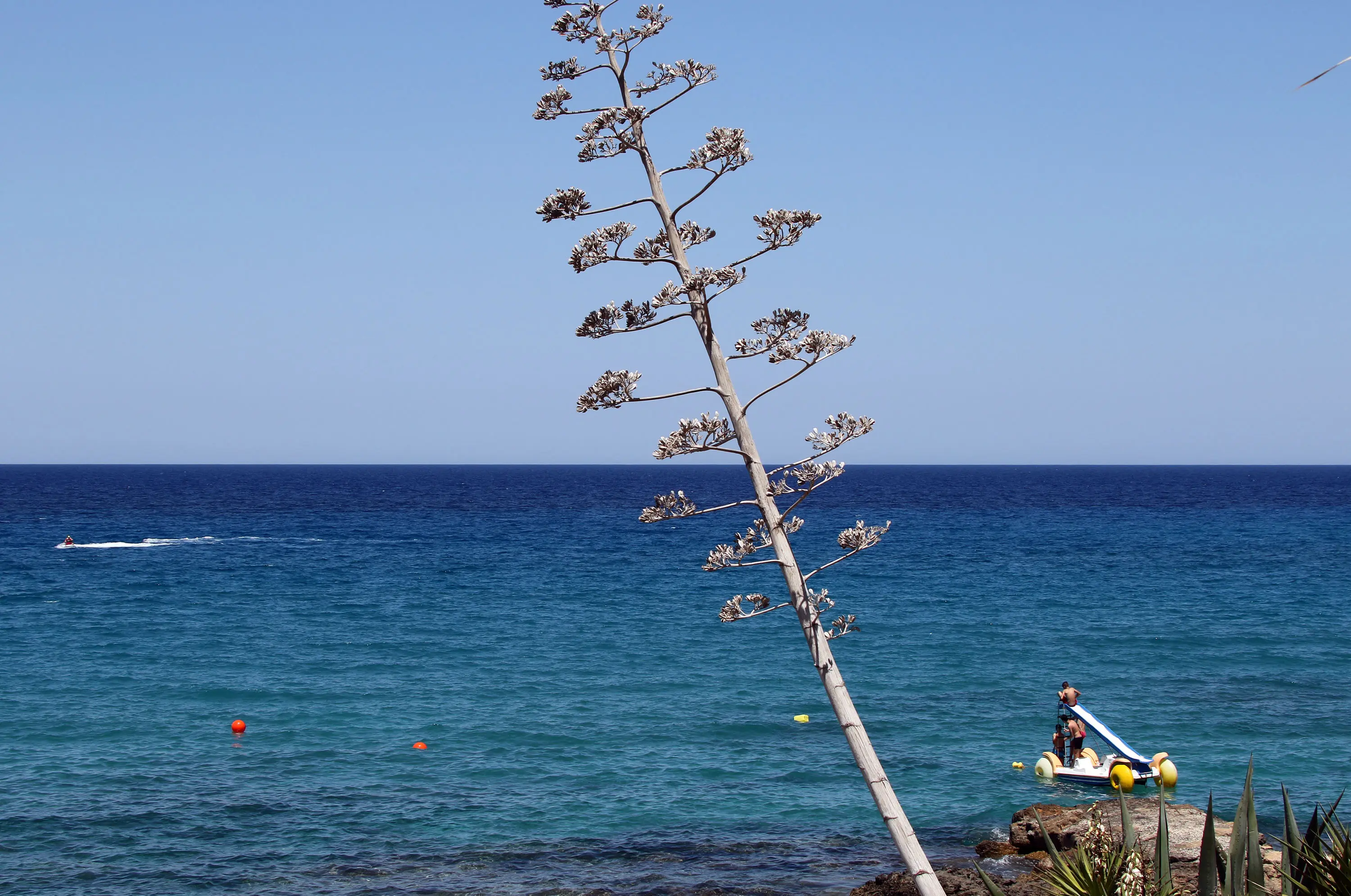 Τα τουριστικά έσοδα μειώθηκαν κατά 98%