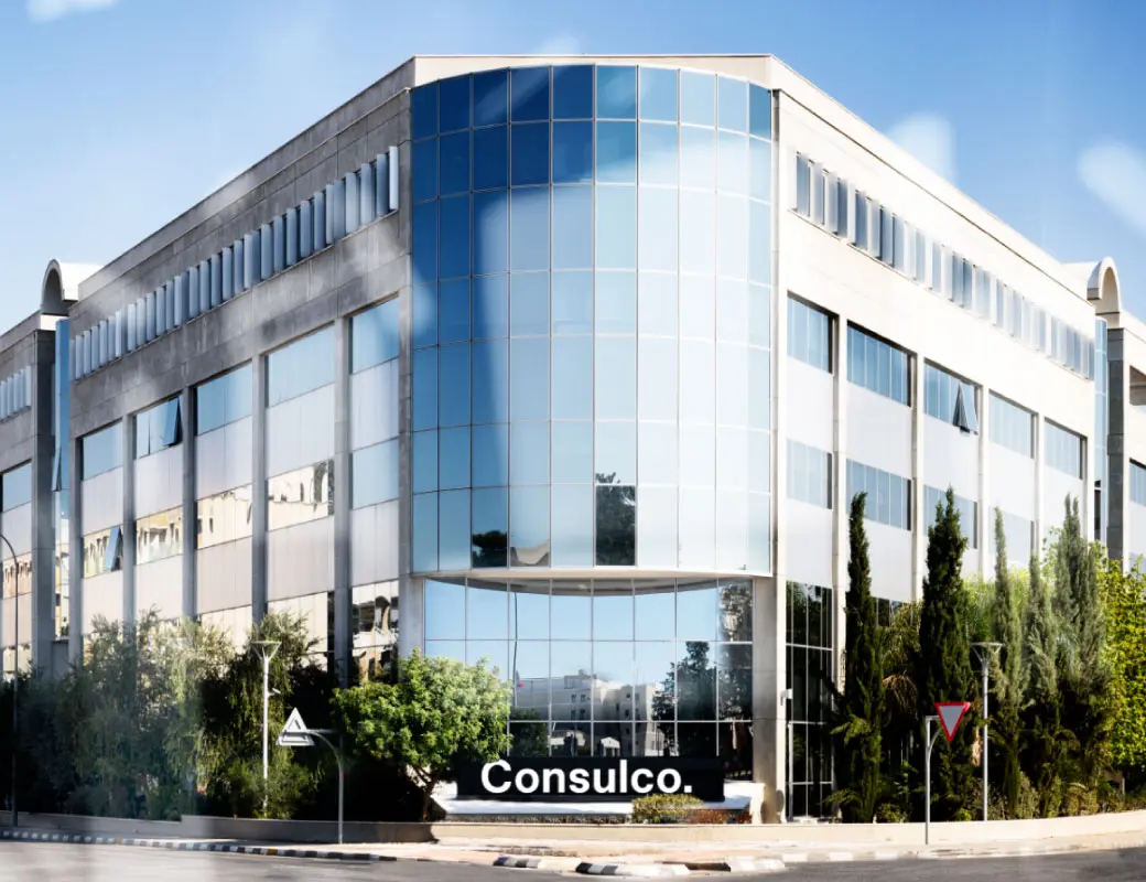 Consulco: Πολυετής εμπειρία και γνώση στον τομέα των κατάλληλων δομών και επενδύσεων