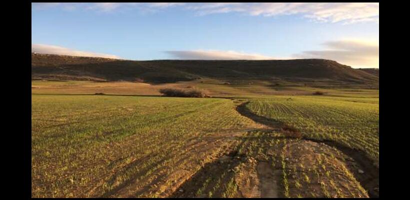 Συνεργατισμός: Στο σφυρί χαρτοφυλάκιο 24 ακινήτων στο Τσέρι