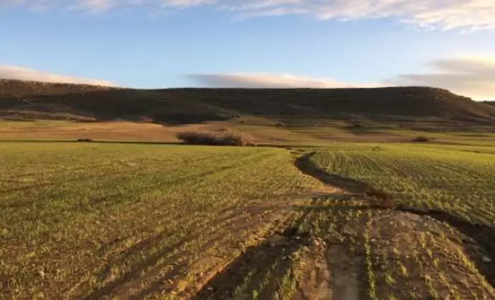 Συνεργατισμός: Στο σφυρί χαρτοφυλάκιο 24 ακινήτων στο Τσέρι