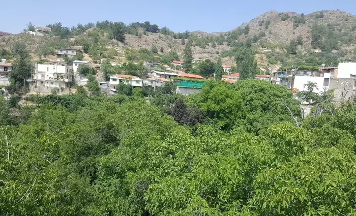 Φεστιβάλ Φουντουκιού στην Πλατανιστάσα