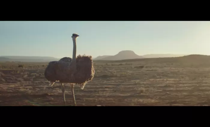 Διαφήμιση της Samsung Electronics κέρδισε Δεκατρία Βραβεία