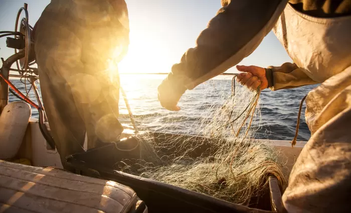 Αυτό το ζωικό προϊόν περνά από τα κατεχόμενα για κατανάλωση στις ελεύθερες περιοχές