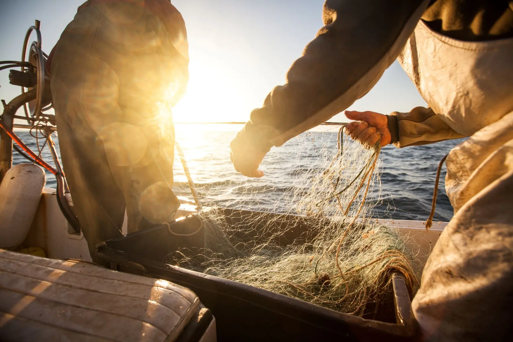 Αυτό το ζωικό προϊόν περνά από τα κατεχόμενα για κατανάλωση στις ελεύθερες περιοχές
