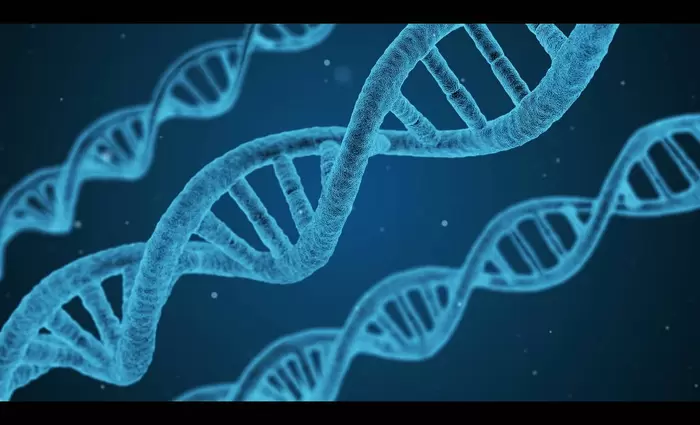 Υπολογιστής δημιούργησε εξολοκλήρου γονιδίωμα έμβιου οργανισμού