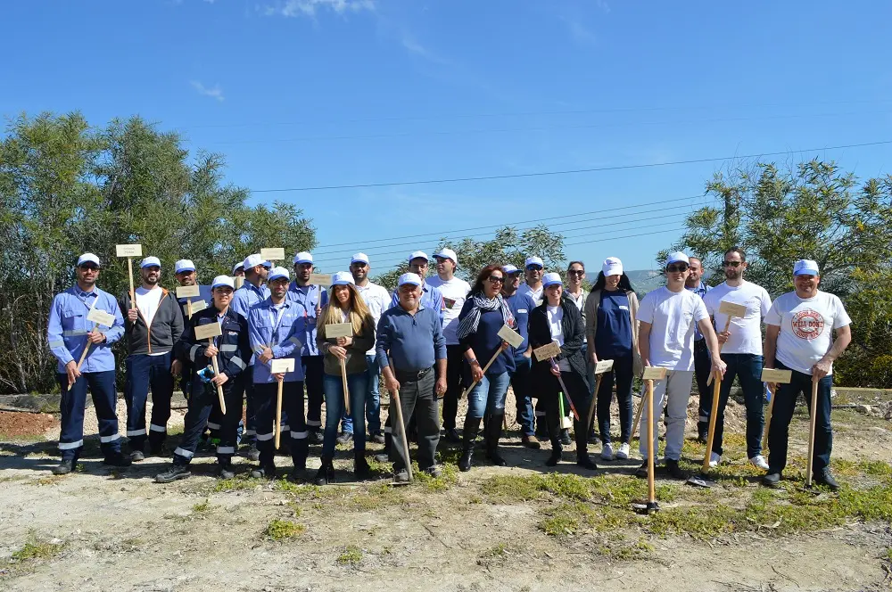 Πνεύμονας πρασίνου στο Μαρί από τη VTTV 