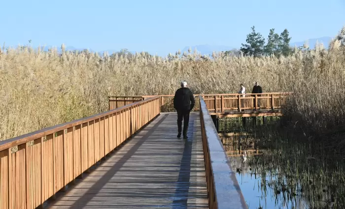 Σπάνιος παράκτιος υγροβιότοπος μέσα σε αστικό ιστό στην Ελλάδα