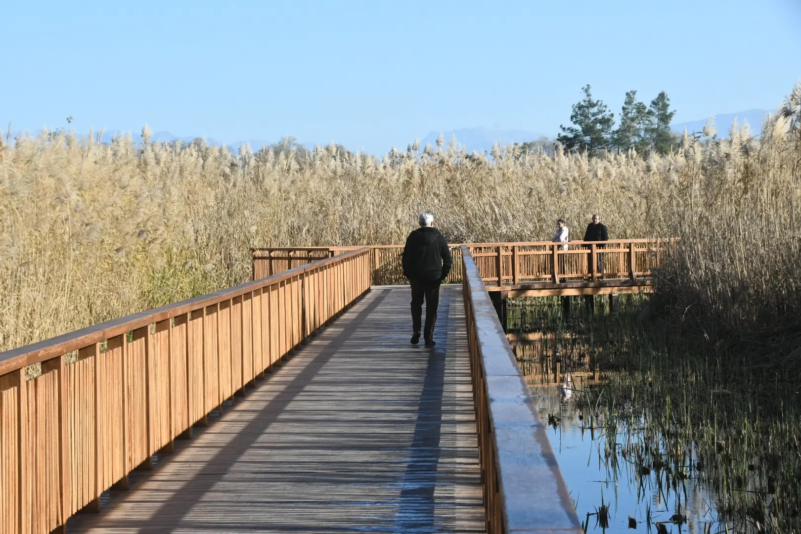 Σπάνιος παράκτιος υγροβιότοπος μέσα σε αστικό ιστό στην Ελλάδα