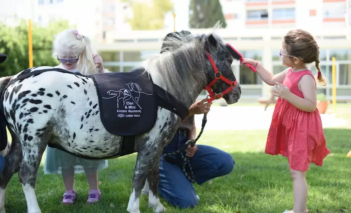 Ελληνική Τράπεζα και Majestic δίνουν νόημα στη ζωή των ασθενών