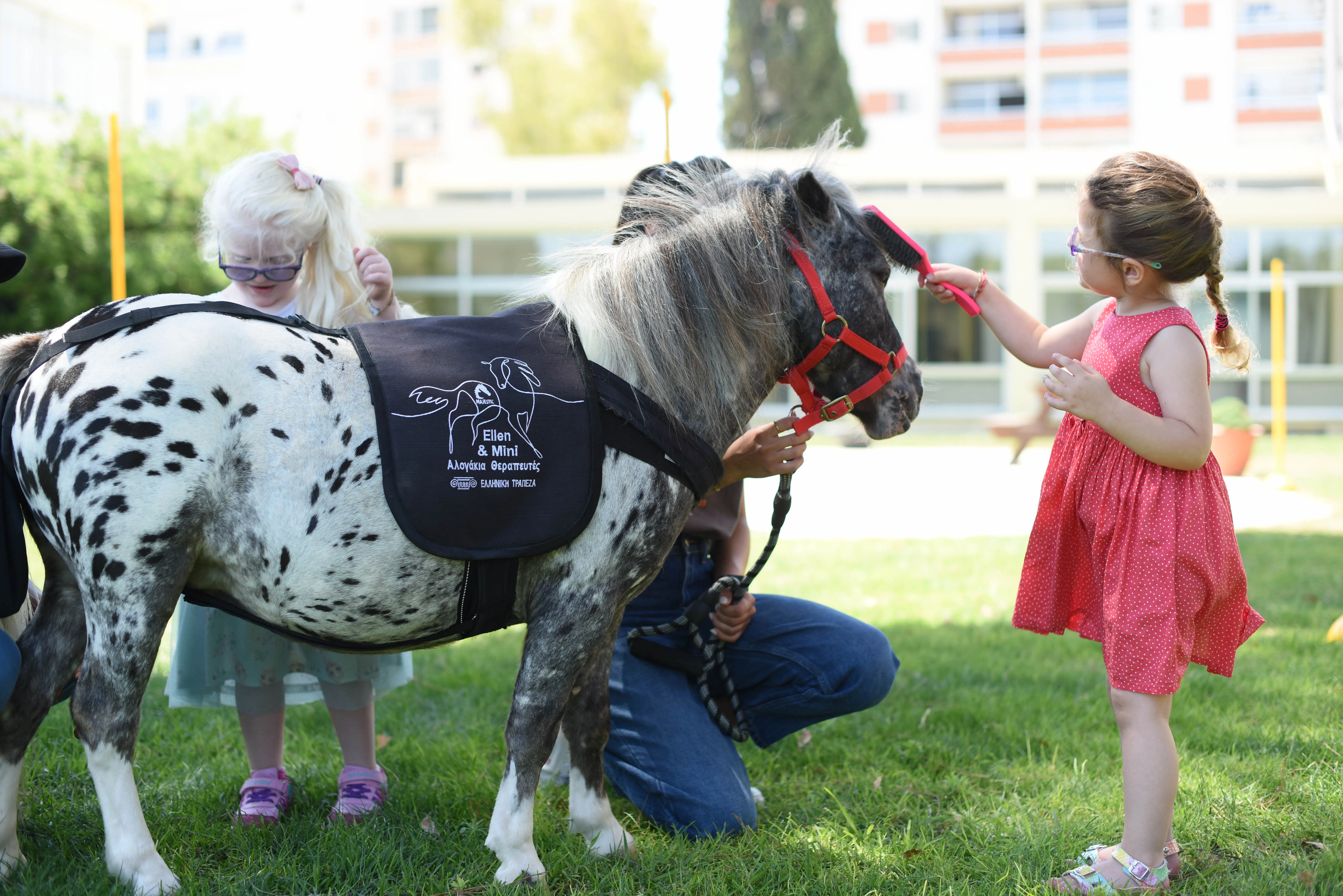 Ελληνική Τράπεζα και Majestic δίνουν νόημα στη ζωή των ασθενών
