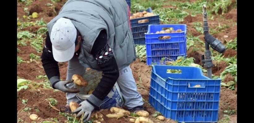 Ξανά στα χαρακώματα για ξένους εργάτες οι συντεχνίες – Κοινή επιστολή στον Υπ. Εργασίας