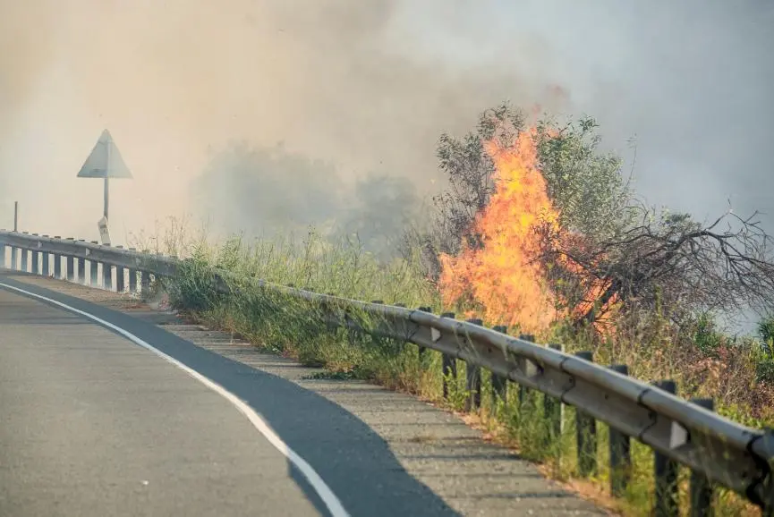 Αυτούσιες στη δημοσιότητα οι εκθέσεις για τις πυρκαγιές Λεμεσού