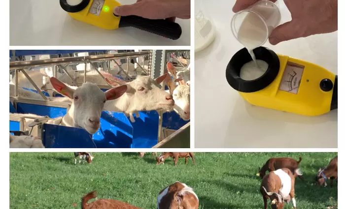 Code: Re-farm – Αναδιαμόρφωση κτηνοτροφικών συστημάτων με γνώμονα τη βιωσιμότητα και την ποιότητα των προϊόντων