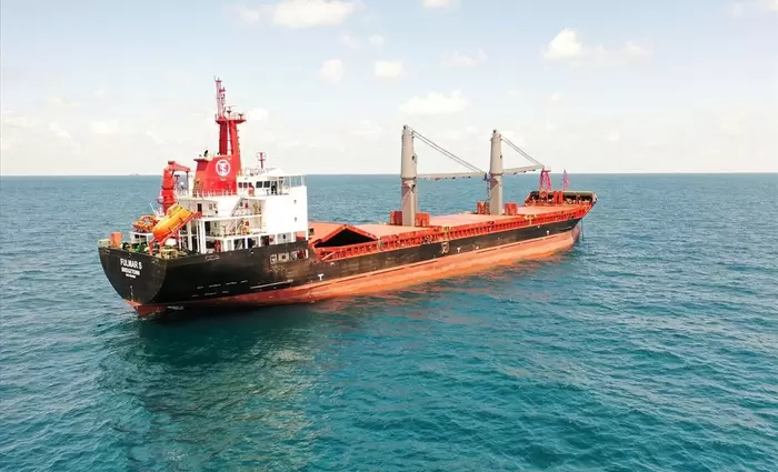 Το πρώτο φορτηγό πλοίο έφτασε σε ουκρανικό λιμάνι