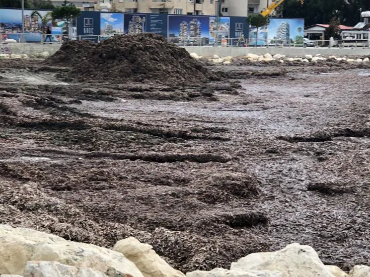 Οι Δήμοι - Ξενοδόχοι καταβάλουν κονδύλια για αποκομιδή των φυκιών