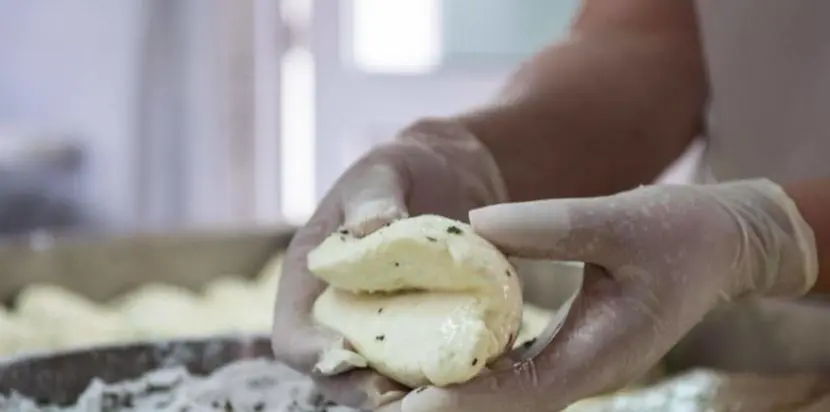 Η τελική ευθεία για την κατοχύρωση του χαλουμιού και τα πολιτικά παιχνίδια