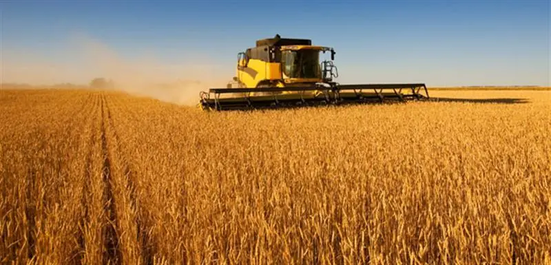 Αυξήθηκε ο δείκτης παραγωγικότητας στο γεωργικό τομέα