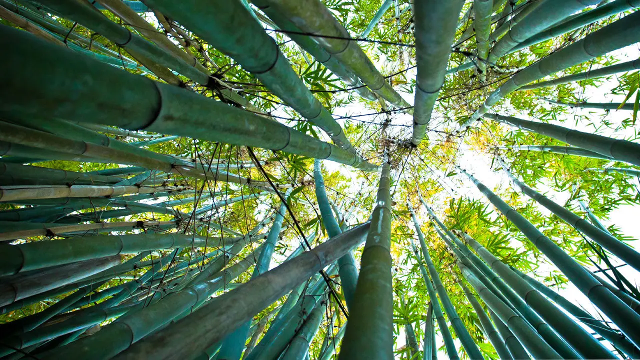 Πως θα χαραχθεί μακροπρόθεσμη ενεργειακή στρατηγική;