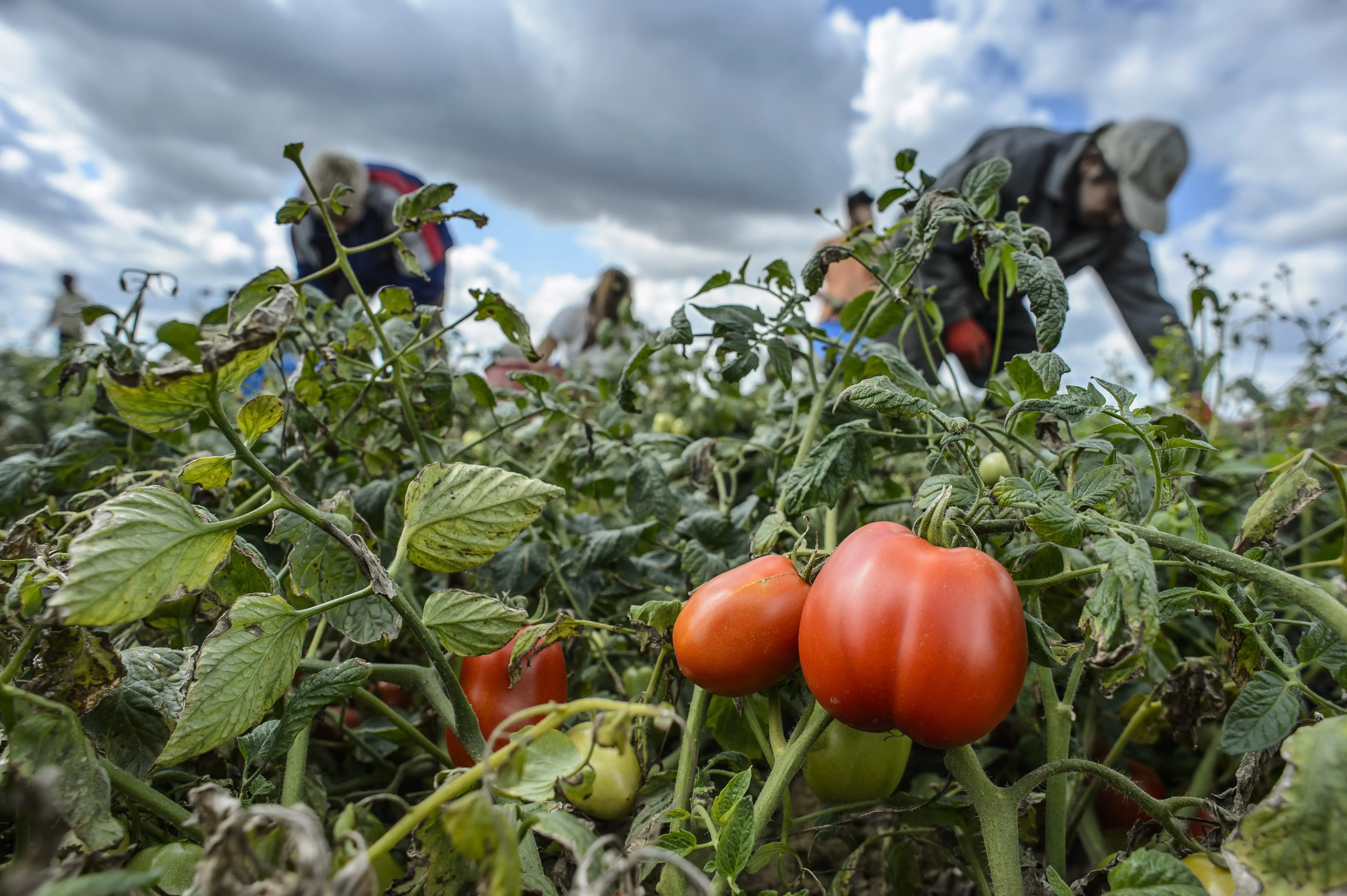 Η Ευρώπη χρειάζεται εργατικά χέρια αλλά δεν τα βρίσκει