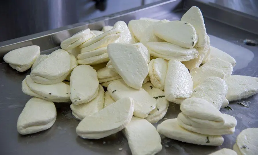 Το ΚΕΒΕ αναμένει το τελικό κείμενο συμφωνίας για το χαλλούμι ΠΟΠ