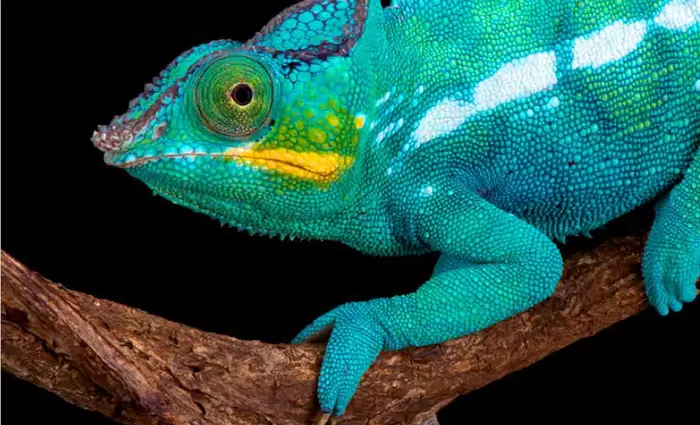 Ο ρόλος του CIO αλλάζει, σύμφωνα με την έρευνα Harvey Nash/KPMG 2018