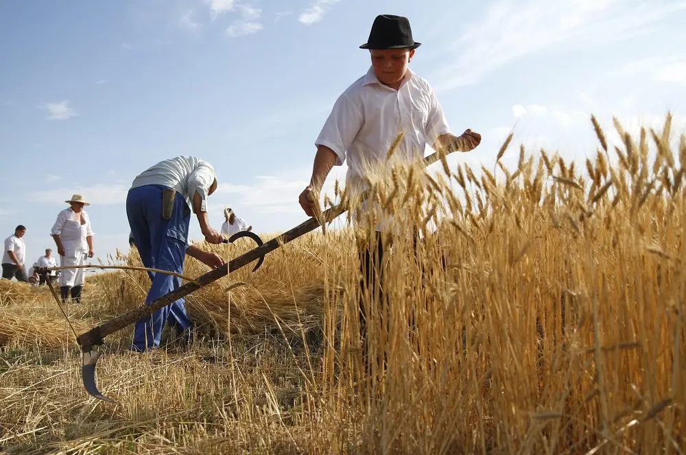 Κρατούν τα σιτηρά για λογαριασμό τους και μπλοκάρουν τις εξαγωγές