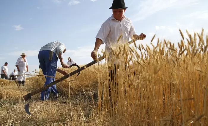 Κρατούν τα σιτηρά για λογαριασμό τους και μπλοκάρουν τις εξαγωγές