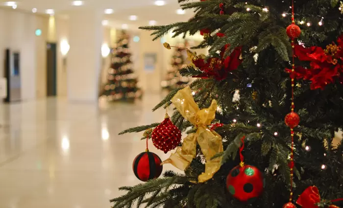 Στο 80% η πληρότητα των ξενοδοχείων της Πάφου τα χριστούγεννα