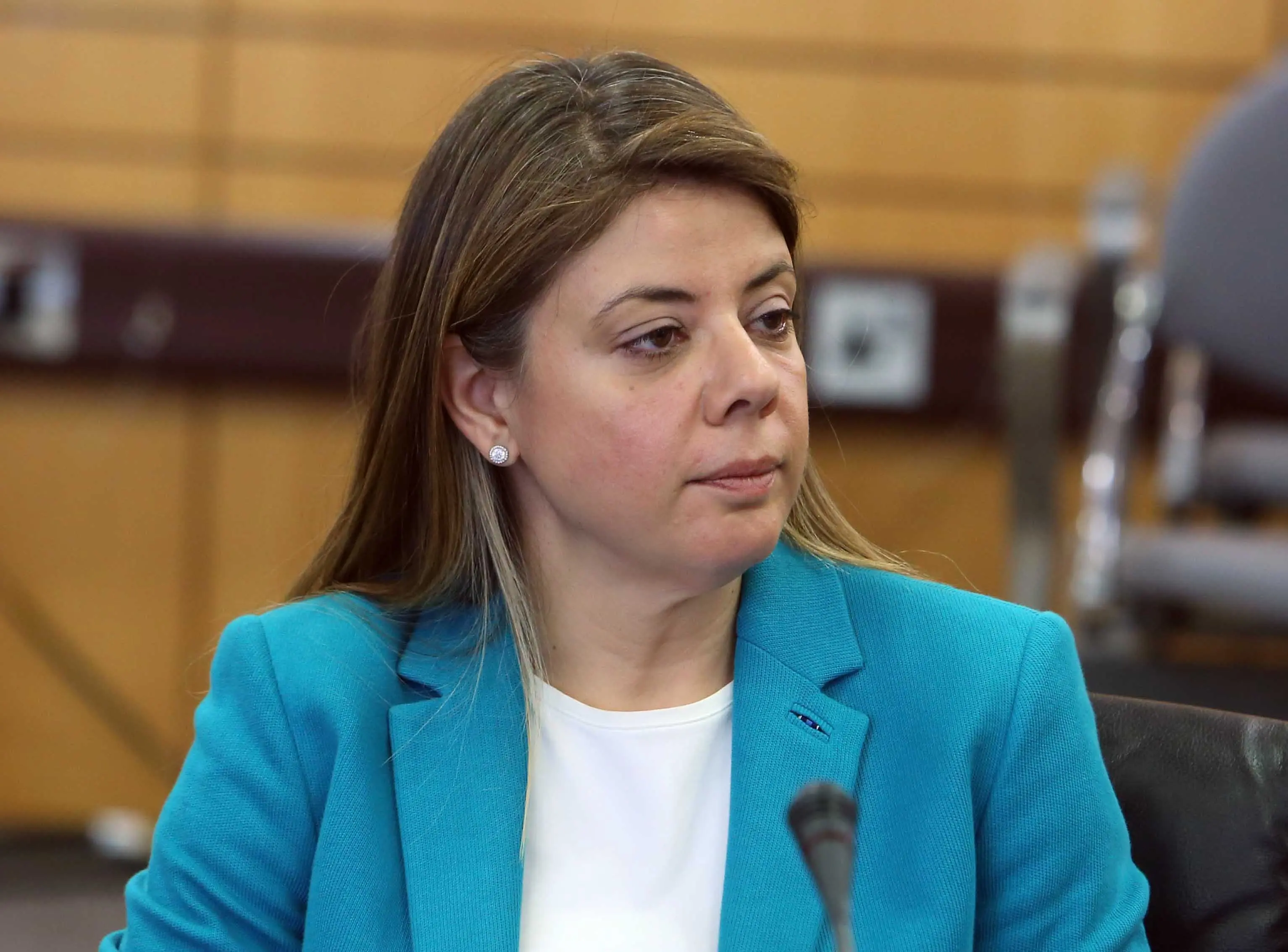 Χρ. Ερωτοκρίτου: Σημαντική η αύξηση των φορολογικών εσόδων