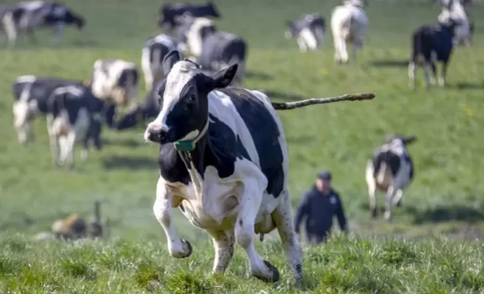 Κομισιόν: Έκτακτα μέτρα για στήριξη του αγροτοδιατροφικού τομέα