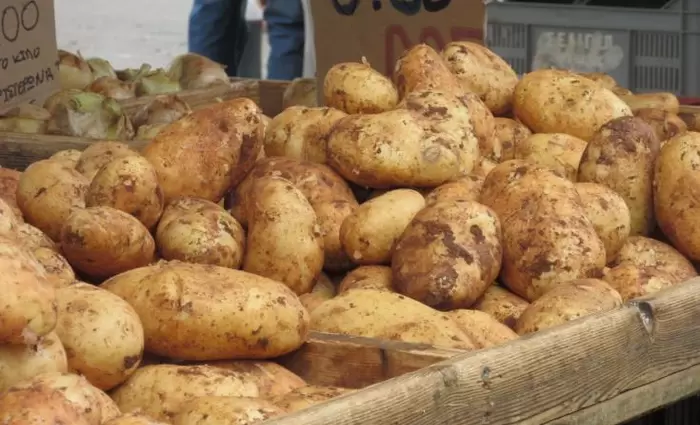 Το Υπ. Εμπορίου προωθεί τις εξαγωγές πατάτας σε Γερμανία, Αυστρία και Βέλγιο