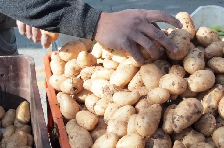 Αυξήθηκαν ο όγκος και η αξία το κύκλου εργασιών λιανικού εμπορίου