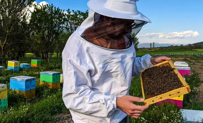 Μειωμένη κατά 70% η παραγωγή μελιού στη Θεσσαλονίκη λόγω βροχοπτώσεων